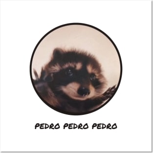 Pedro Raccoon Meme Animal Viral Pet Posters and Art